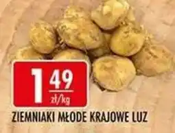 Sklepy Doroty Ziemniaki Młode Krajowe Luz oferta