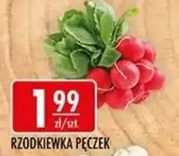 Sklepy Doroty Rzodkiewka Pęczek oferta