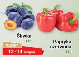 Premium Nasz Sklep Śliwka oferta