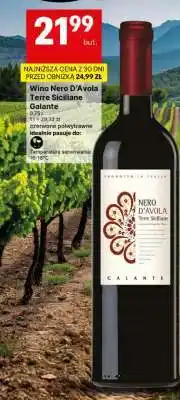 Delikatesy Centrum Wino Nero D'Avola Terre Siciliane Galante oferta