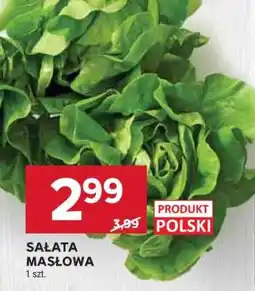 Stokrotka Market Sałata masłowa oferta