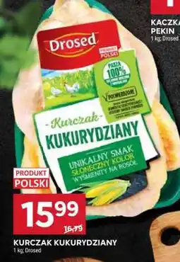 Stokrotka Market Kurczak kukurydziany oferta
