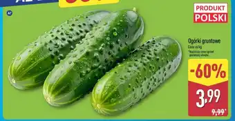 ALDI Ogórki gruntowe oferta