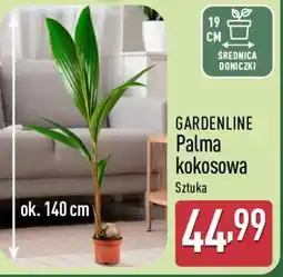 ALDI GARDENLINE oferta