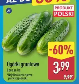 ALDI Ogórki gruntowe oferta
