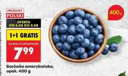 Biedronka Borówka amerykańska, opak. 400 g oferta