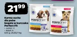 Netto PERFECT FIT oferta