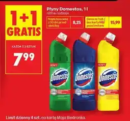 Biedronka Płyny Domestos, 1 l oferta