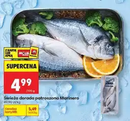 Biedronka Świeża dorada patroszona Marinero oferta
