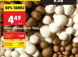 Biedronka Grzyby Shimeji opak 150 g oferta