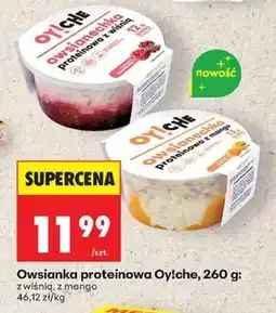 Biedronka Owsianka proteinowa Oy!che, 260 g oferta