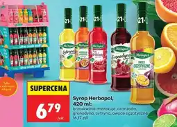 Biedronka SYROP HERBAPOL 420 ML oferta