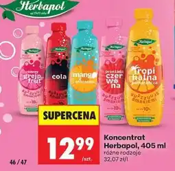 Biedronka Koncentrat Herbapol, 405 ml oferta
