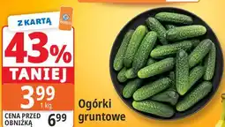E.Leclerc Ogórki gruntowe oferta
