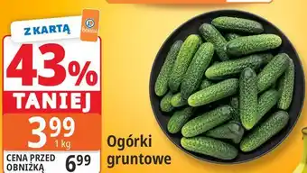 Ogórki gruntowe
