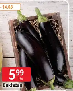 E.Leclerc Bakłażan oferta