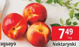 E.Leclerc Nektarynki oferta