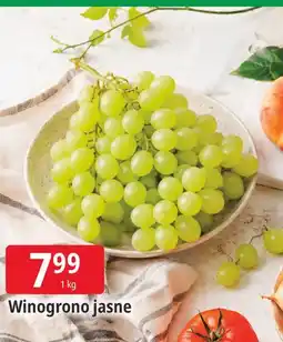 E.Leclerc Winogrono jasne oferta