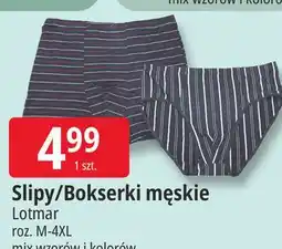 E.Leclerc Slipy/Bokserki męskie Lotmar oferta