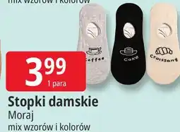 E.Leclerc Stopki damskie Moraj oferta