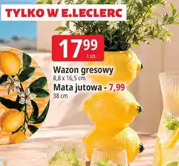 E.Leclerc Wazon gresowy / Mata jutowa oferta