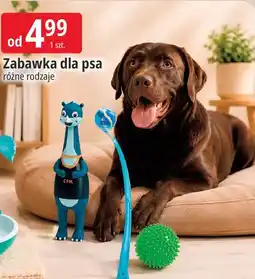 E.Leclerc Zabawka dla psa oferta