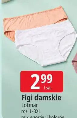 E.Leclerc Figi damskie Lotmar oferta