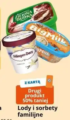 E.Leclerc Lody i sorbety familijne oferta
