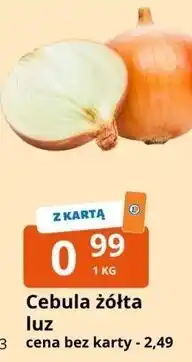 E.Leclerc Cebula żółta luz oferta