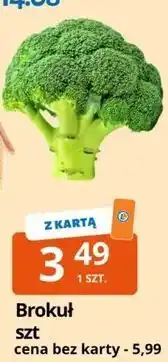 E.Leclerc Brokuł szt oferta