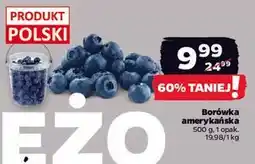Netto Borówki amerykańskie polska oferta