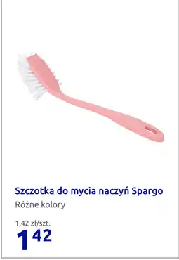 Action Szczotka do mycia naczyń Spargo oferta