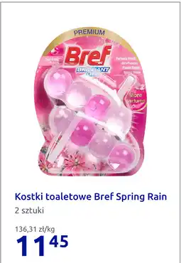 Action Kostki toaletowe Bref Spring Rain oferta