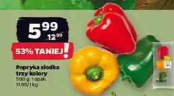 Netto Papryka trzy kolory oferta