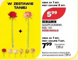 Drogerie Natura Beniamin Długopis Silikonowy, Róża oferta