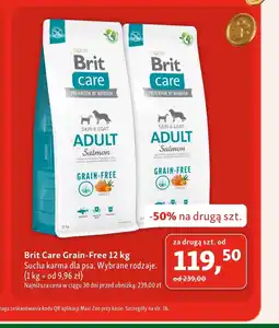 Maxi Zoo Karma dla psa Brit Care oferta