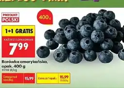 Biedronka Borówka amerykańska K! oferta