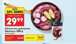 Biedronka Ośmiornica Marinero oferta