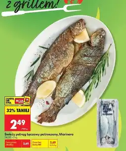 Biedronka Pstrąg tęczowy Marinero oferta