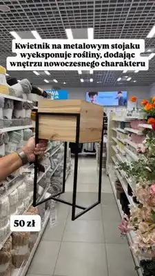 Pepco Kwietnik na metalowym stojaku oferta