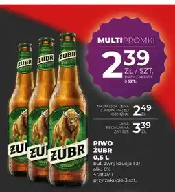 Duży Ben Piwo Żubr oferta