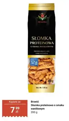 Dino Słomka proteinowa o smaku waniliowym Brześć oferta