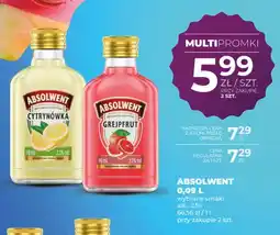 Duży Ben Likier Absolwent Cytrynówka oferta
