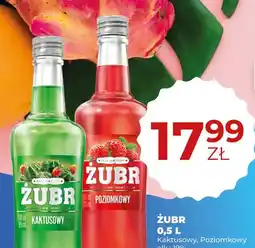 Duży Ben Likier Żubr Kaktusowy oferta