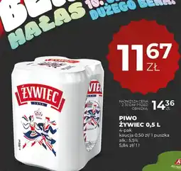 Duży Ben Piwo Żywiec 4-pak oferta