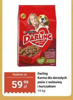 Dino Karma dla dorosłych psów Darling z wołowiną i kurczakiem oferta