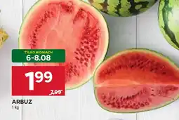 Stokrotka Arbuz oferta