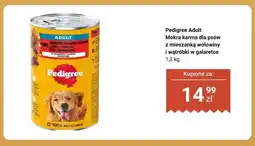 Dino Mokra karma dla psów Pedigree Adult z mieszanką wołowiny i wątróbki w galaretce oferta