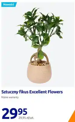 Action Sztuczny fikus Excellent Flowers oferta