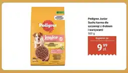 Dino Sucha karma dla szczeniąt Pedigree Junior z drobiem i warzywami oferta